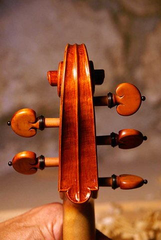 5 String Viola neck back