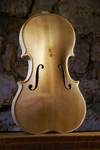 5 String Viola corpus